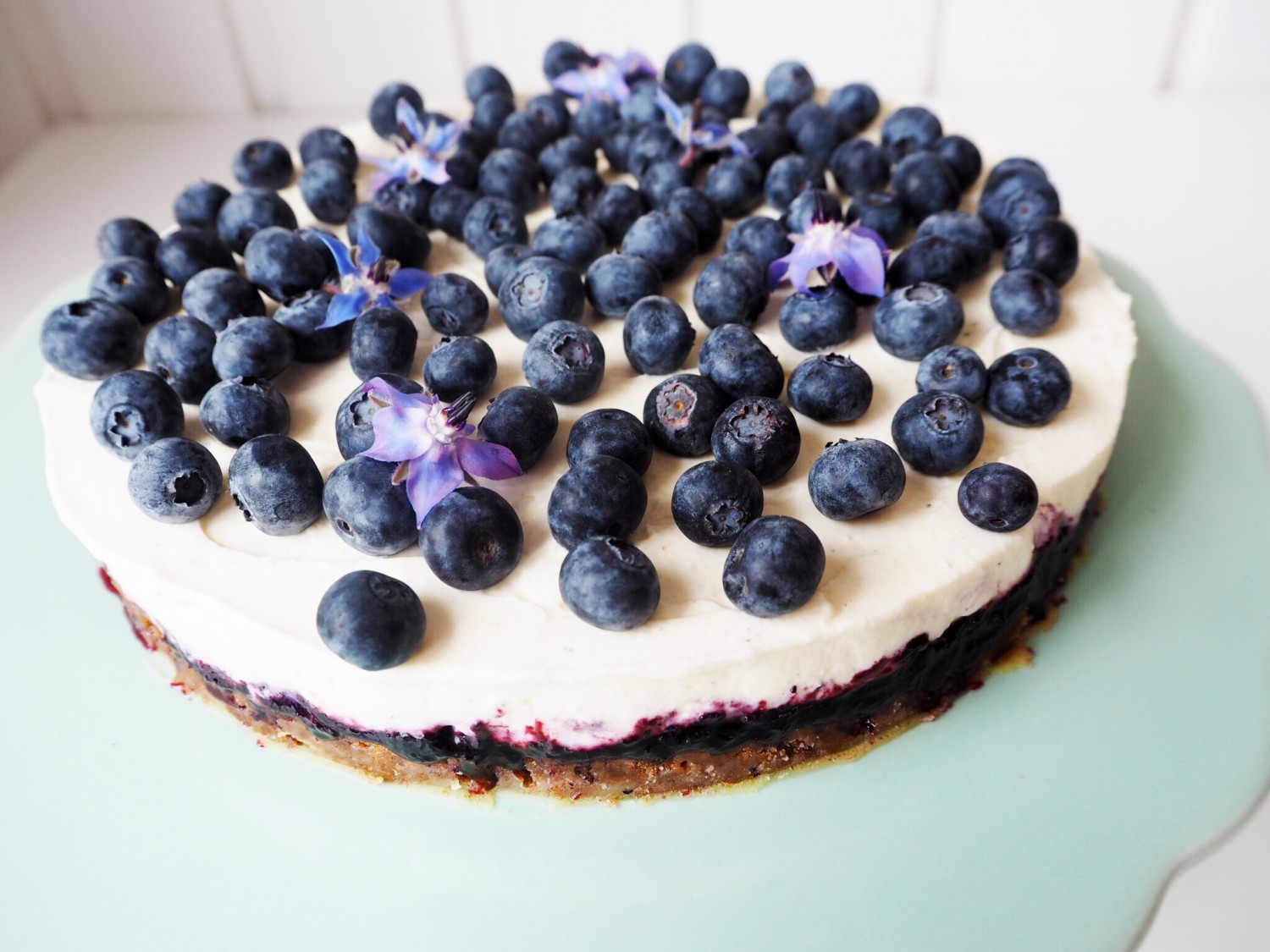 Stat Regeneration køkken Blåbær cheesecake | Opskrift på lækker & friske blåbær cheesecake